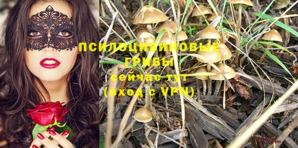 кристаллы Бежецк