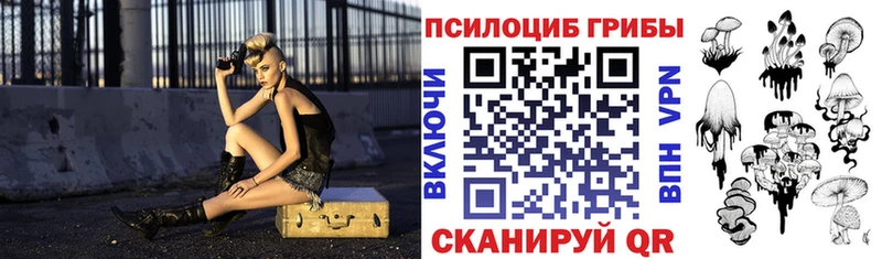 закладка  Бодайбо  Галлюциногенные грибы прущие грибы 
